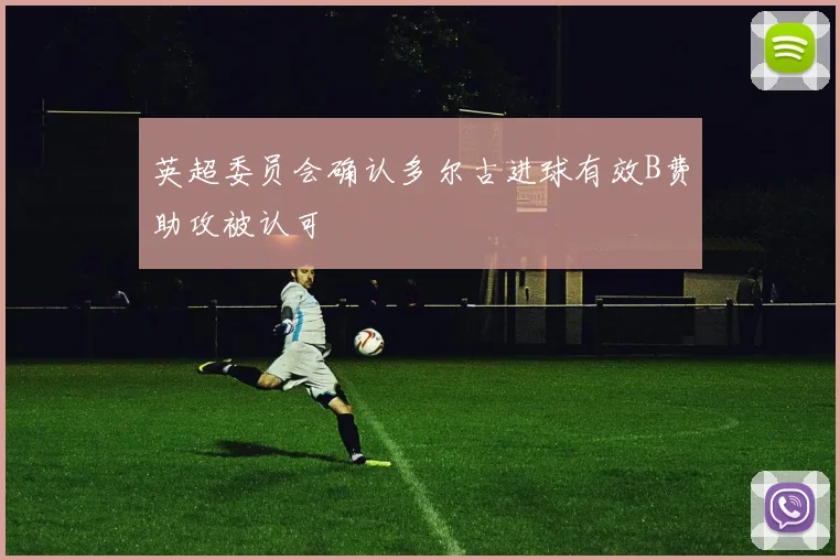 英超委员会确认多尔古进球有效B费助攻被认可